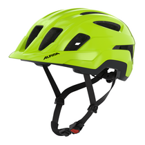 Alpina PARANUS be-visible gloss | 55-59