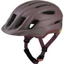 Alpina PARANUS MIPS raisin matt | 55-59