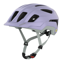 Alpina PARANUS MIPS lilac-grey matt | 52-56